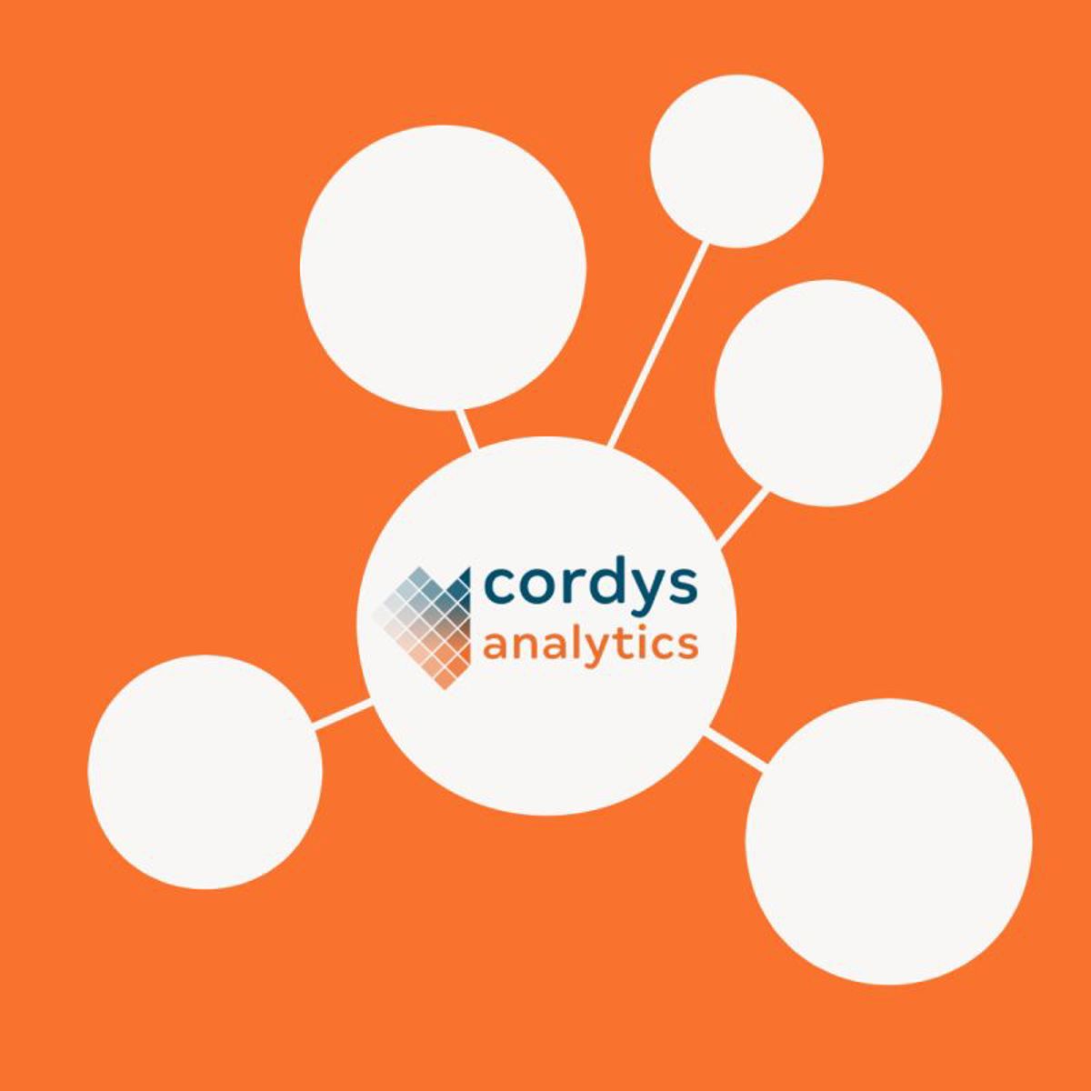 Seedronde Cordys Analytics